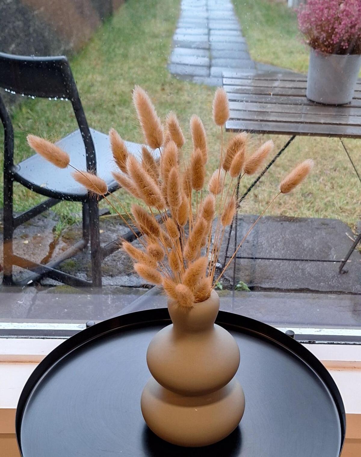 Central Reykjavik - Garden Cottage Ngoại thất bức ảnh