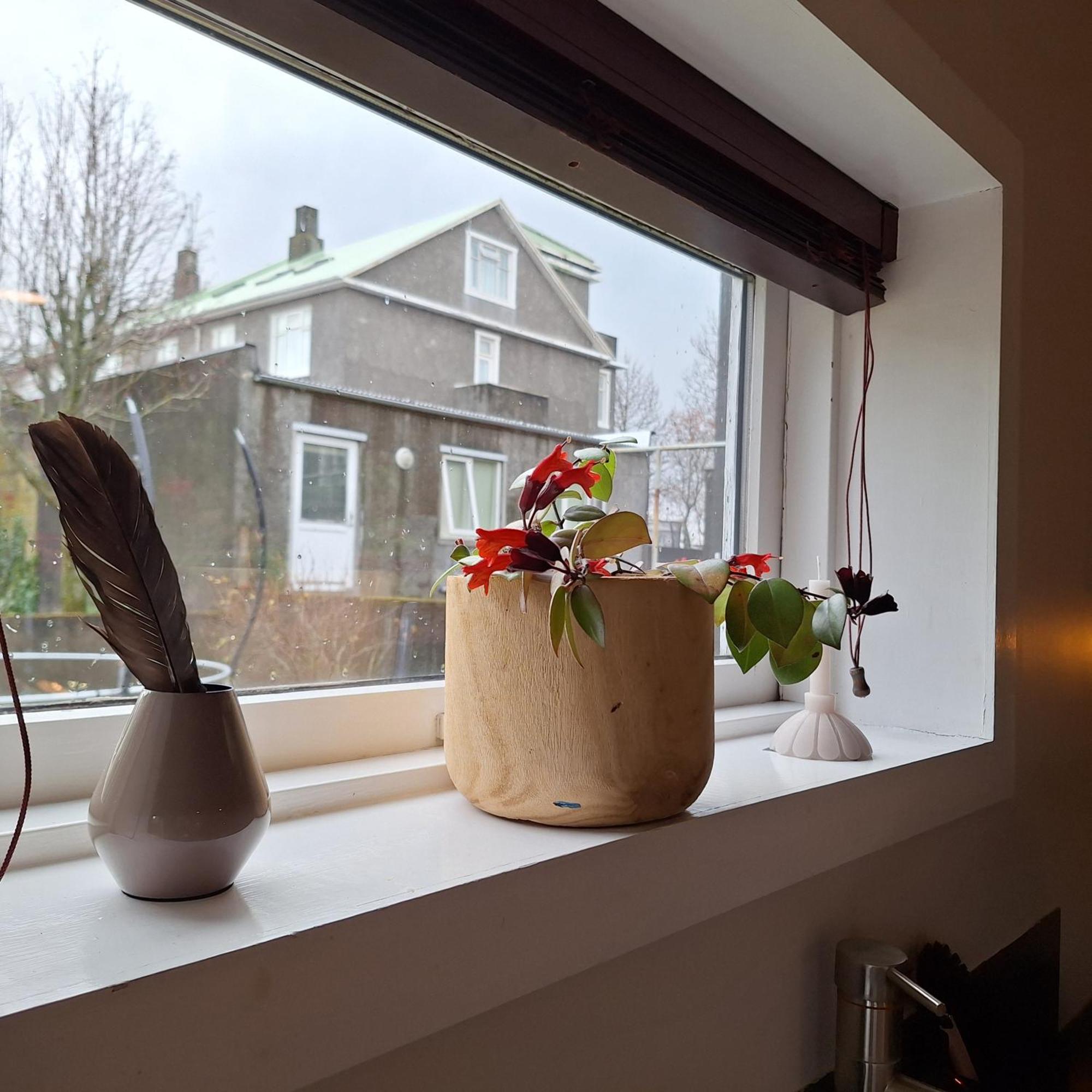 Central Reykjavik - Garden Cottage Ngoại thất bức ảnh